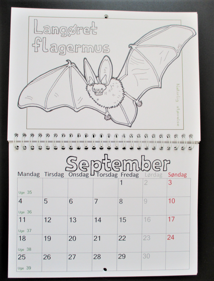 Forlaget Landsvalen - 2023 kalender